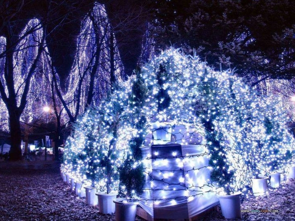 圣诞节英文PPT介绍_第3页