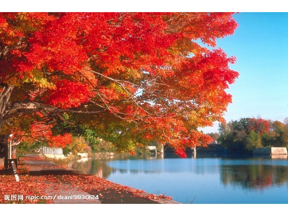 二年级语文上册一秋天1秋天到第一课时课件_第2页