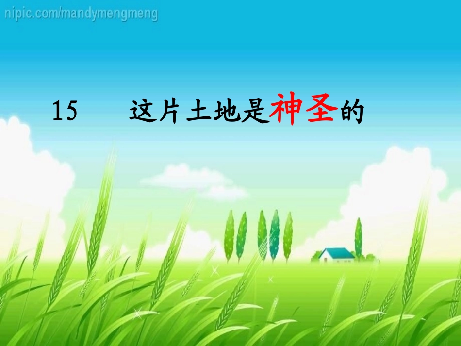 《这片土地是神圣的》_第1页