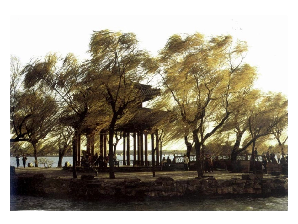 小学美术《风儿吹过》课件_第3页