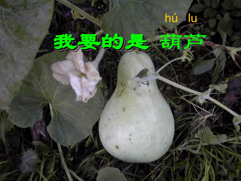 我要的是葫芦[1]_第2页