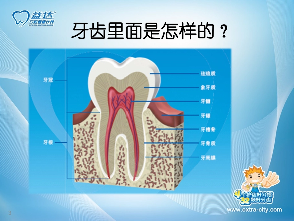 口腔健康教育_第3页