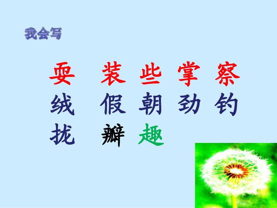 《金色的草地》课件【21页】 (2)_第3页