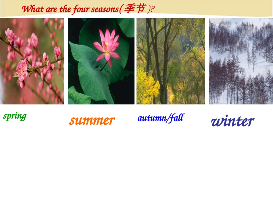 七年级英语下册Unit6_It’s_raining_Section_B_第3页