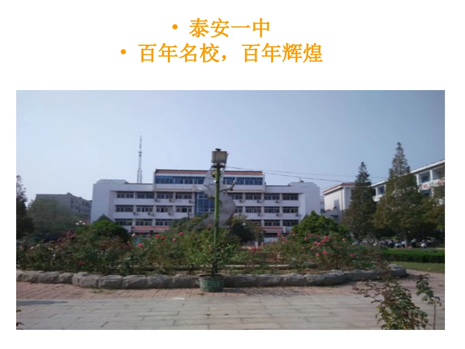 泰安历史年会总结_第3页