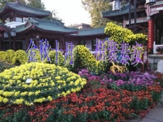 泰安历史年会总结