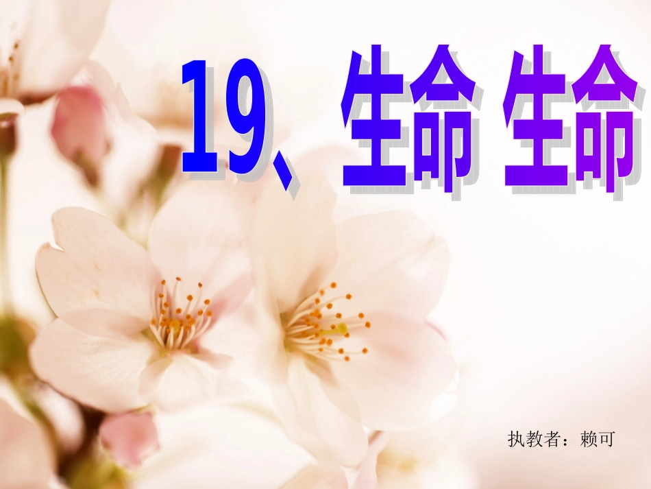 《生命生命》课件_第1页