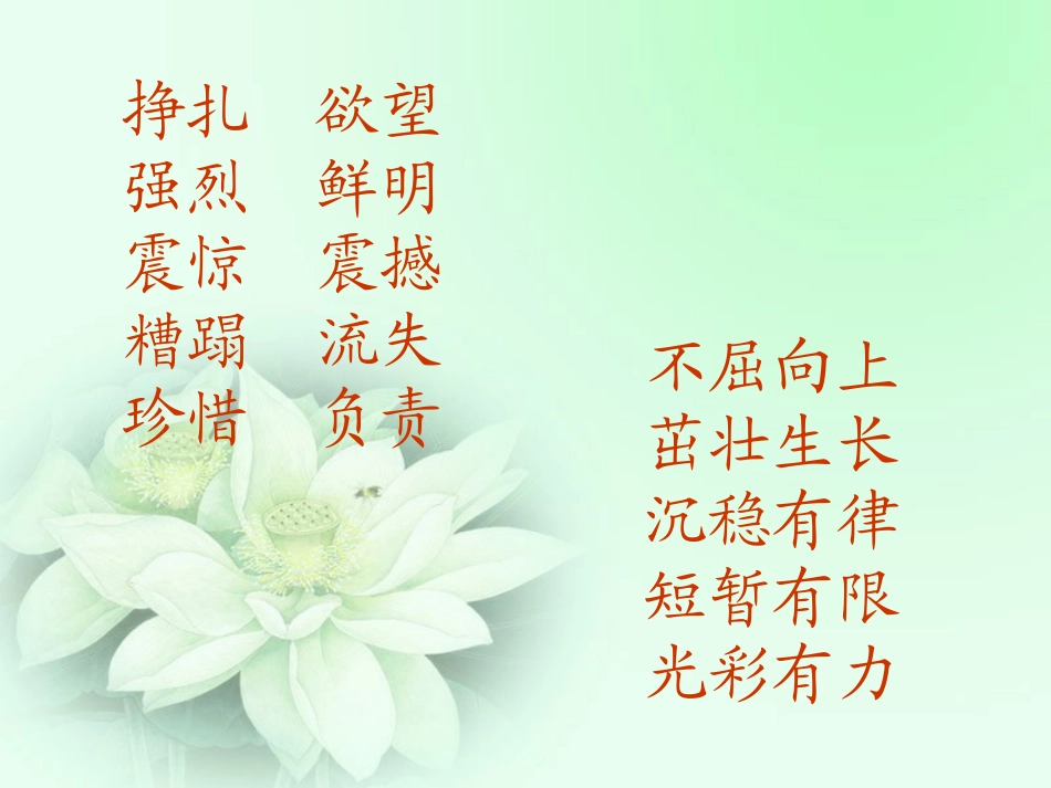 《生命生命》课件_第2页