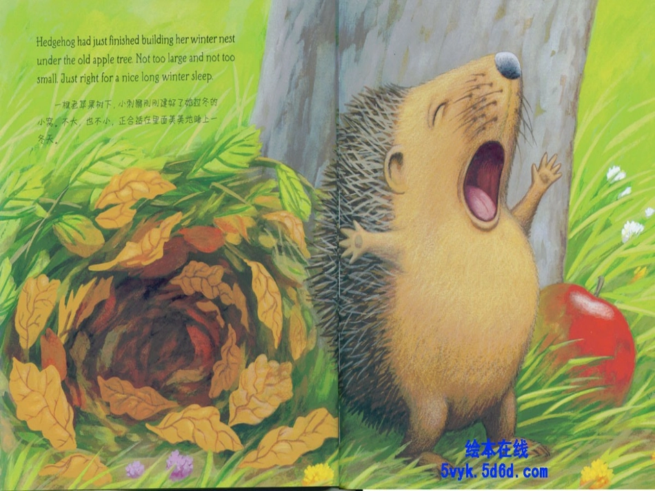绘本《小刺猬的麻烦》_第3页