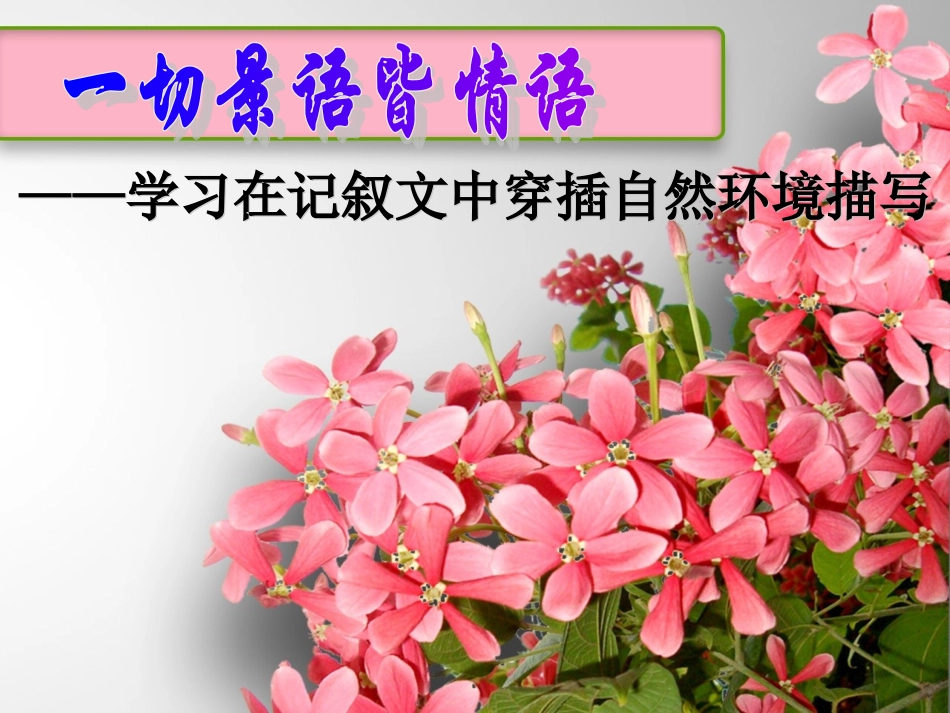 一切景语皆情语——学会在记叙文中穿插自然环境描写(上课课件2011)_第2页