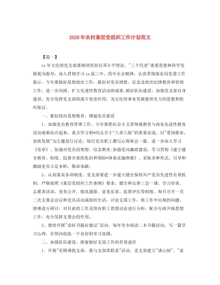 2020年农村基层党组织工作计划范文