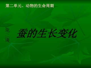 蚕的生长变化PPT