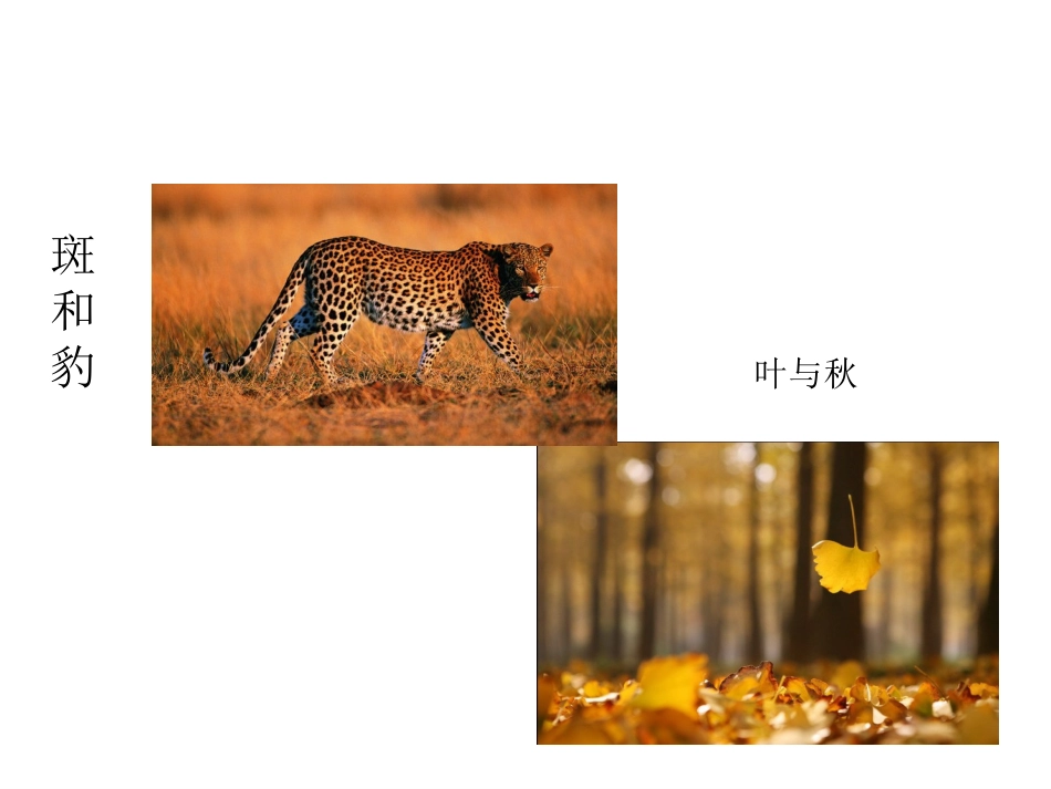 普特关系和整体、部分的区别_第2页