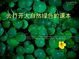去打开大自然绿色的课本