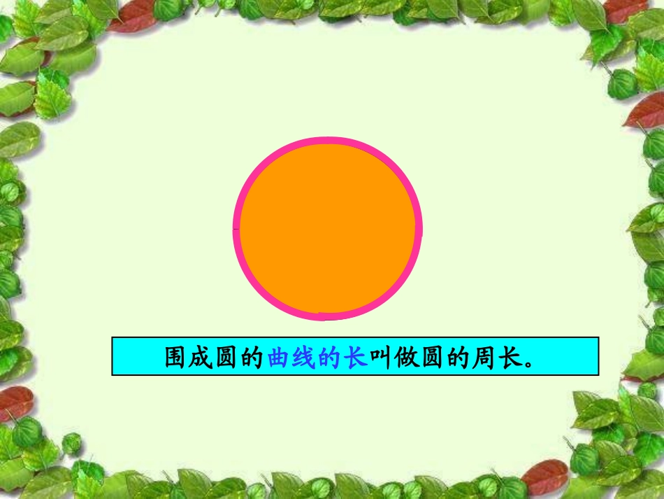 圆的周长---杨臣琳_第2页