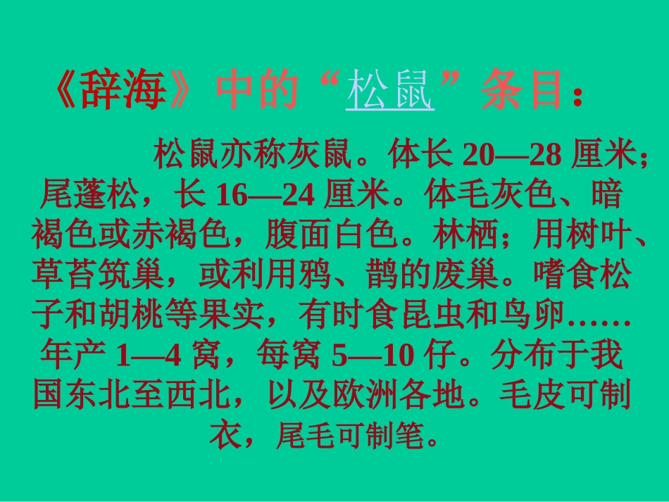 五年级上册语文第10课《松鼠》PPT (3)_第3页