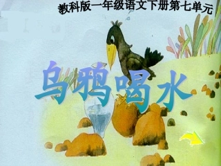 乌鸦喝水课件 (6)