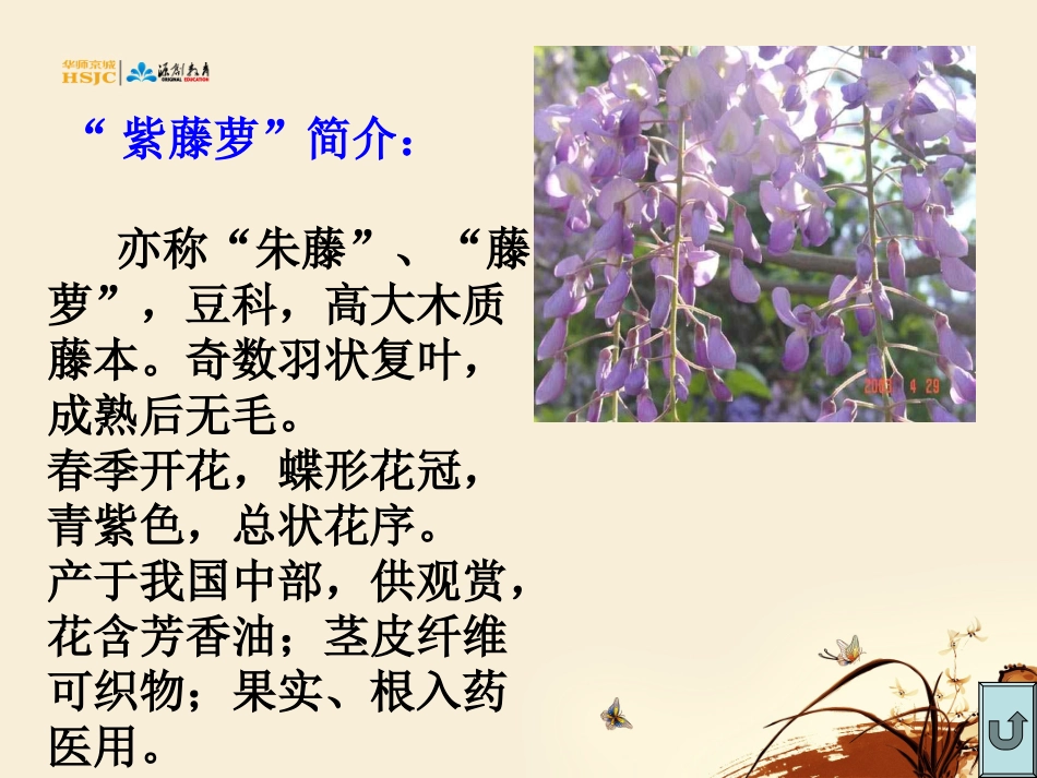 《紫藤萝瀑布》公开课_第2页