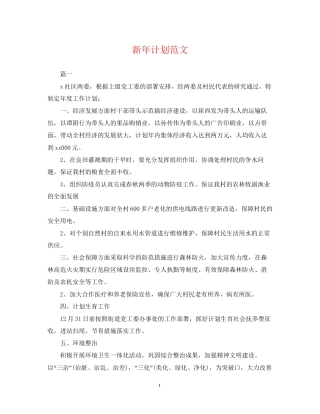 新年计划范文