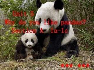 英语说课课件——戴瑞屏