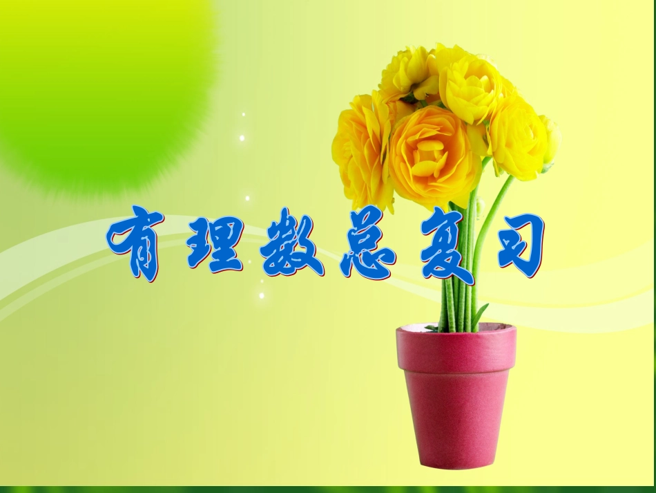 七年级数学《有理数》总复习课件_第1页