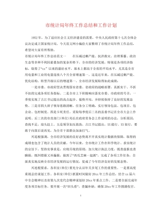 市统计局年终工作总结和工作计划