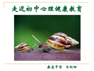 走近初中心理健康教育