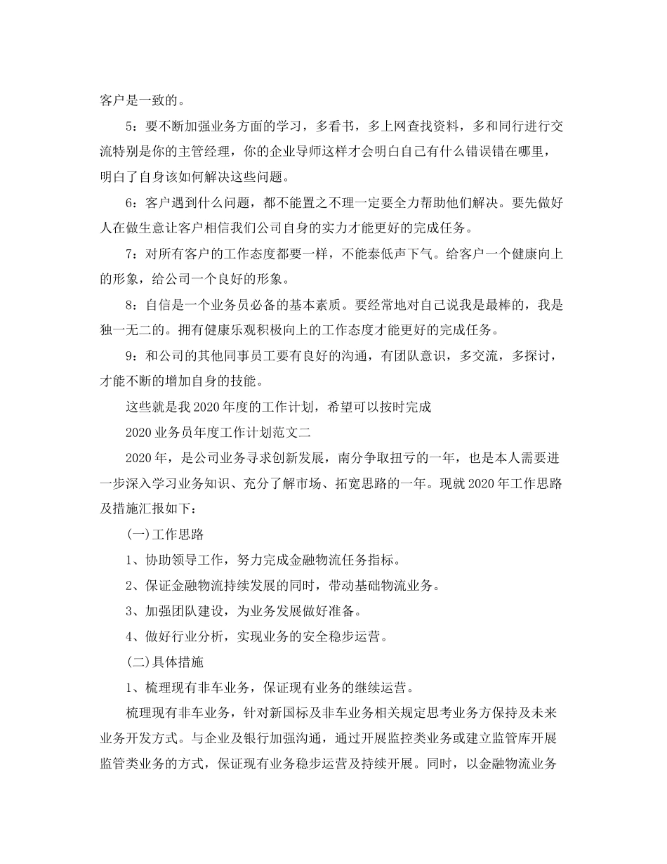 业务员年度工作计划范文_第2页