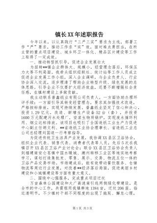 镇长XX年述职报告