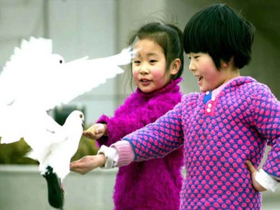 一个中国孩子的呼声5_第2页