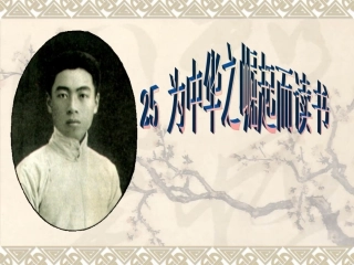 为中华之崛起而读书 (4)