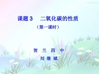 二氧化碳的化学性质---第一课时