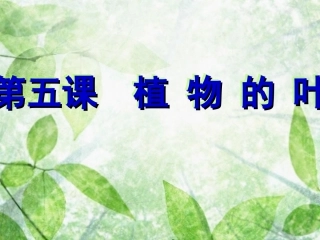 小学科学三年级上册植物的叶