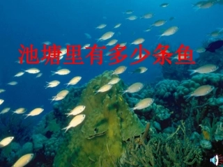 池塘里有多少条鱼
