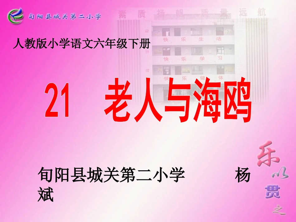 杨斌《老人与海鸥》_第3页