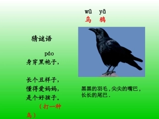 《乌鸦喝水》课件