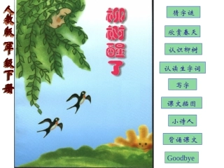 《柳树醒了》课件1