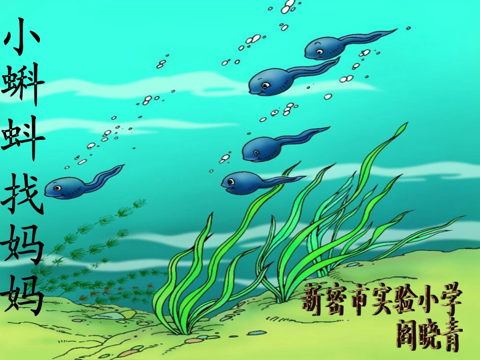 小蝌蚪找妈妈 (11)_第1页