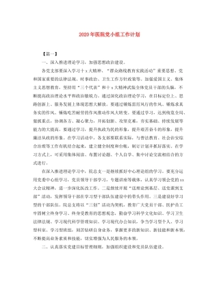 2020年医院党小组工作计划