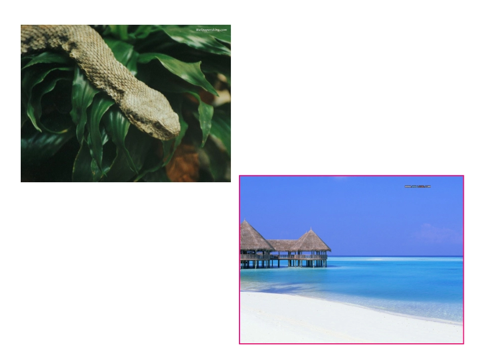 人教版九年级Unit11Sadmoviesmakemecry（第1课时）课件_第3页