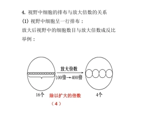 细胞中的元素和化合物