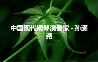 中国现代钢琴演奏家