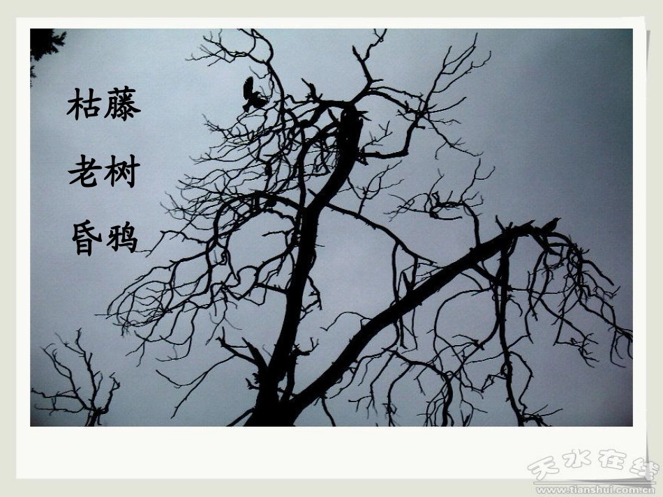 天净沙_秋_意境版_第3页