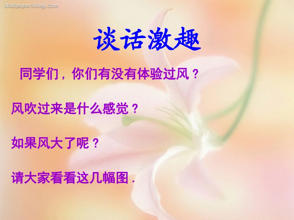 风娃娃PPT课件_第3页