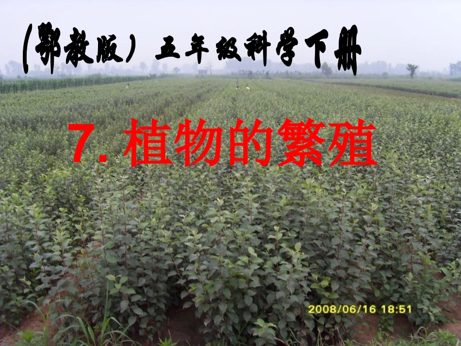 【植物的繁殖（鄂教版）五年级科学下册PPT课件_第1页