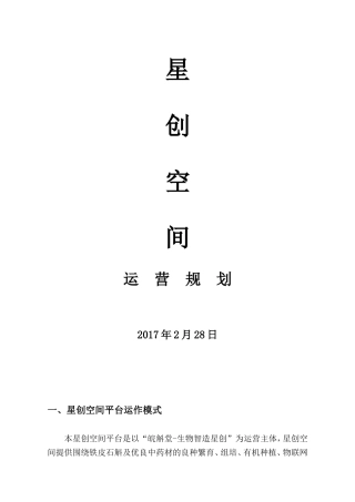 大众创业星创天地运营思路