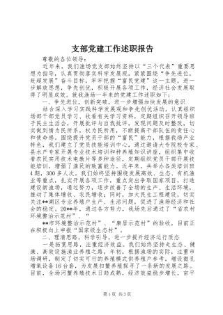 支部党建工作述职报告