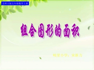 师大版五年级数学上册（组合图形的面积）