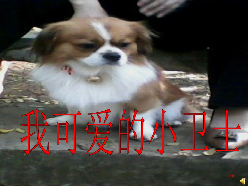 小学四年级作文写自己喜欢的一种小动物_第2页