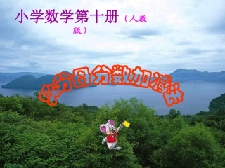 异分母分数加减法 (5)